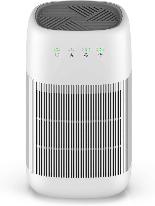 Air Purifier Dehumidifier Q10 HEPA Filter