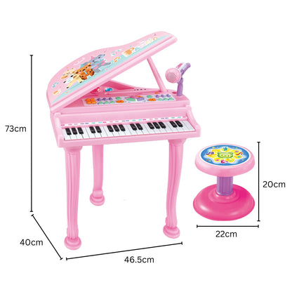 GOMINIMO Kids Electronic Piano Keyboard Toy with Microphone and Chair (Pink)