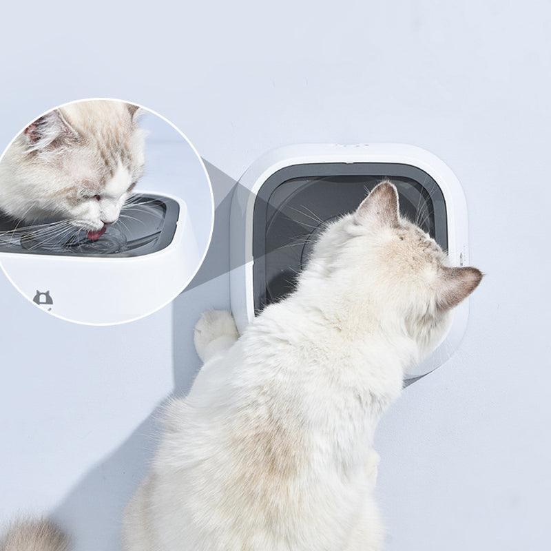 1.5L Pet Water Bowl No-Spill Design Slow Drinking Feeder with Non-Slip Base - White