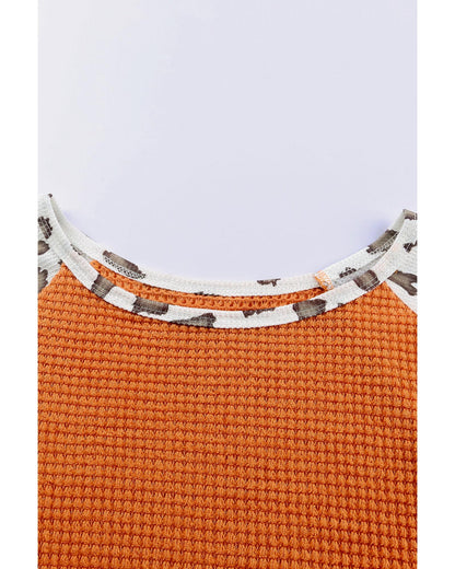 Azura Exchange Leopard Colorblock Top - S