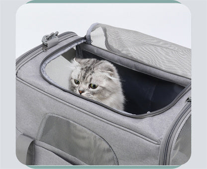 Foldable Soft-Sided Pet Carrier for Travel - Fits Cats & Small Dogs Under 6kg, with Removable Plush Bed & Shoulder Strap(black)