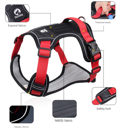 Blue M Adjustable No-Pull Dog Harness and Leash Set - Reflective & Padded Vest for Medium to Large Dogs